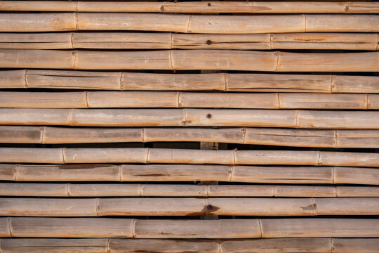 textura de cortina de bamb&uacute; seco