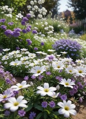 Obraz premium Mesmerizing white and purple flowers in a garden setting during springtime, spring season, close-up view