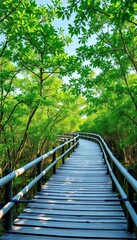 Obraz premium Wooden boardwalk meanders through lush, vibrant green mangrove forest, ocean, eco