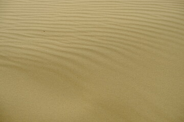 sand texture background