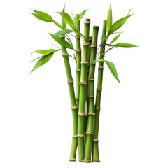 Obraz premium Stunning Bamboo Stalks in Lush Green