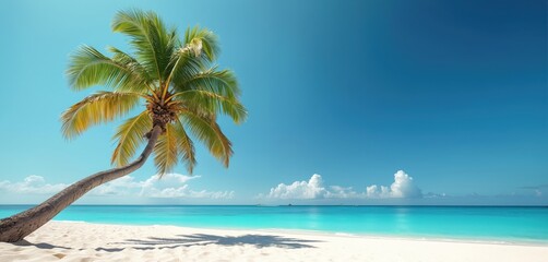 Palm tree on white sand beach with blue ocean. Tropical paradise vacation scene, sunny summer day. Idyllic coast shoreline horizon seascape travel destination.