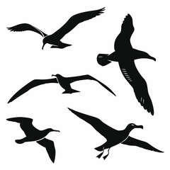 albatross icon set black silhouette vector bundle