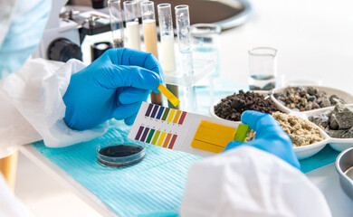 Soil testing in the laboratory. Selective focus.