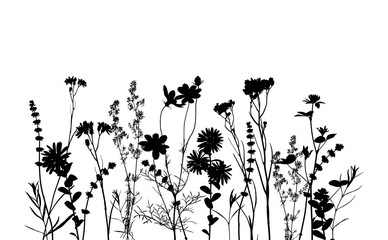 Black silhouette of wildflowers on white background. Elements for creating design, postcard, pattern, floral arrangement, wedding cards and invitations.