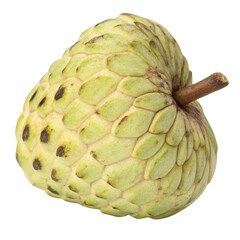 Fototapeta premium A single custard apple fruit transparent background