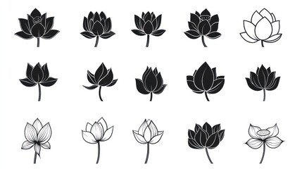 Lotus flower variations, graphic design elements,  white background, design resource