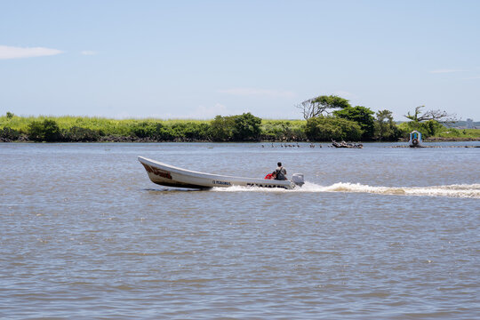 persona traslad&aacute;ndose en lancha de motor por el mar con fondo de vegetaci&oacute;n 