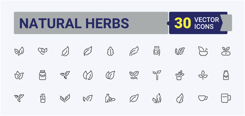 Herbal Plants line icon. Contains related to organic, leaf, herb, herbal and more. Herbs icon set. Minimal icons collection. Editable stroke. Pixel Perfect.
