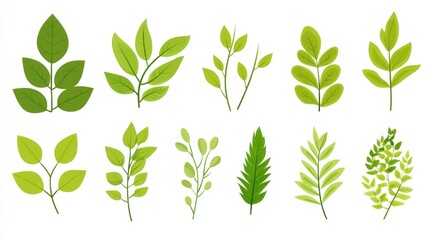 Green leaves collection, various shapes, isolated on white, for design