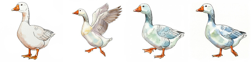 Goose Variations Line Art Illustration - Four geese depicted in line art, showcasing different poses and plumage variations. Symbolizing grace, nature, freedom, domesticity, and agriculture