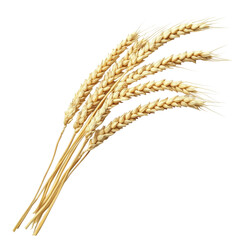 Golden Wheat Ears - A Bountiful Harvest