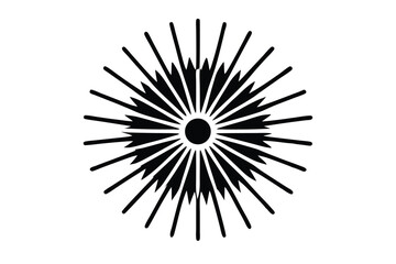 Obraz premium black and white star