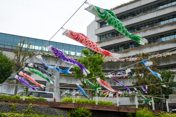 Koinobori carp streamers decorate the sky during Children's Day. Celebrated on May 5th, carp symbolize strength and courage, honoring children's health and happiness.