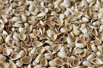 Image of pistachio nut shells. Upcycling icon, gardening.