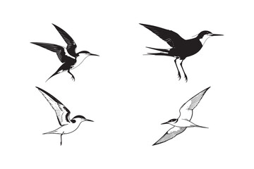 Obraz premium Flying Bird Silhouette Vector Set Elegant Avian Clipart for Design