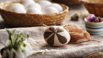 White Easter egg with fresh leaves attached to it with old stockings - preparation for dyeing with onion skins