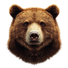 Obraz premium Brown bear head isolated on transparent png background. cutout, clipping path.