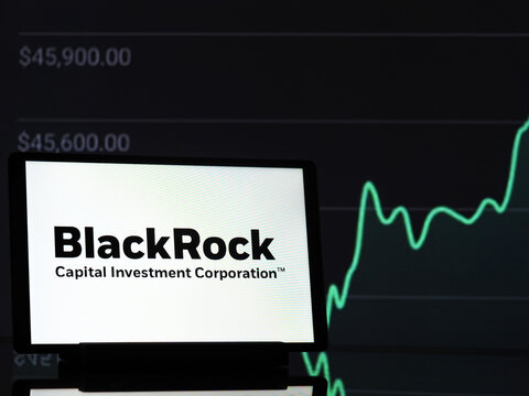 In this photo illustration, BlackRock, Inc. logo seen displayed on a monitor.