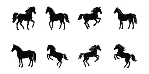 Fototapeta premium A set of eight Friesian horse vector silhouette designs. Simple collection. Isolated bundle on white background.