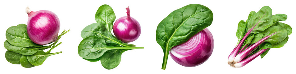 Fototapeta premium Fresh red onions and spinach arranged beautifully for healthy cooking inspiration.