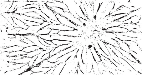 Circular starburst explosion texture. Distressed uneven grunge background. Abstract vector illustration. Overlay to create interesting effect and depth. Isolated on white background.