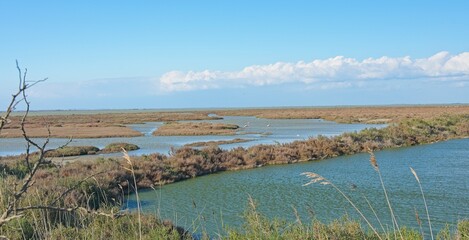 wetland landscape in the Camargue near Saintes Maries de la Mer in south France