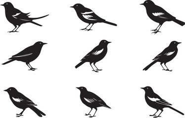 Bird set silhouette vector design art