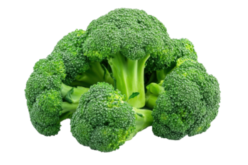 Fresh broccoli florets on black background, cut out