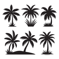 Tropical Palm Silhouette Collection: A collection of elegant, monochromatic palm tree silhouettes, embodying the serenity of a tropical paradise. Featuring various shapes.