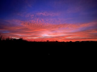sunset in the city