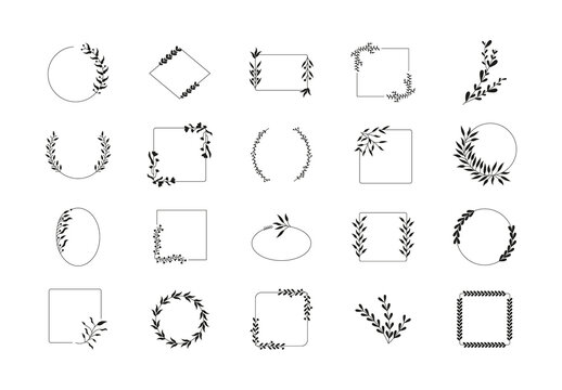 Black White Elegant Minimal Botanical Border Illustration Set