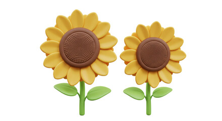 Isolated Pair of Blooming Sunflowers with Green Leaves for Summer