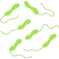 Vibrio Cholerae icon