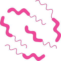 Campylobacter icon