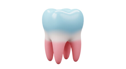 Isolated 3D Illustration of a Healthy Human Tooth