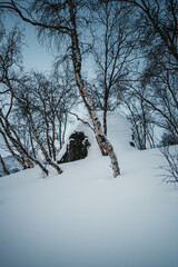 Snowy rock in forest under Saana Fell in Kilpisjarvi, Finnish Lapland.