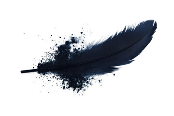 Black feather with artistic splatter effect against black background, cut out