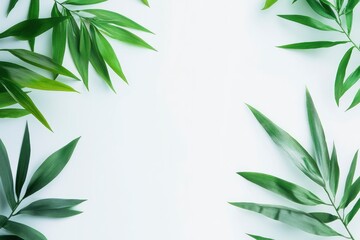Fototapeta premium Green Bamboo Leaves Creating a Natural Frame on a White Background