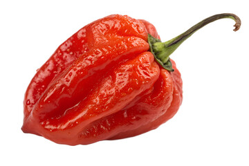 red pepper isolated on white