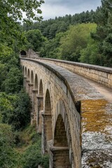 Ancient Stone Aqueduct Bridge in Forest