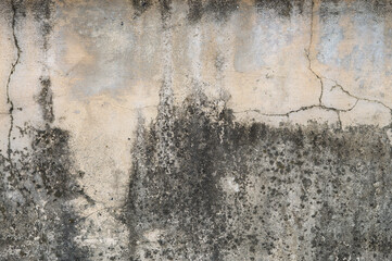 A weathered concrete wall with dark stains and peeling paint, showcasing an aged texture. The rough...