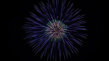 Vibrant burst of fireworks illuminating the night sky.