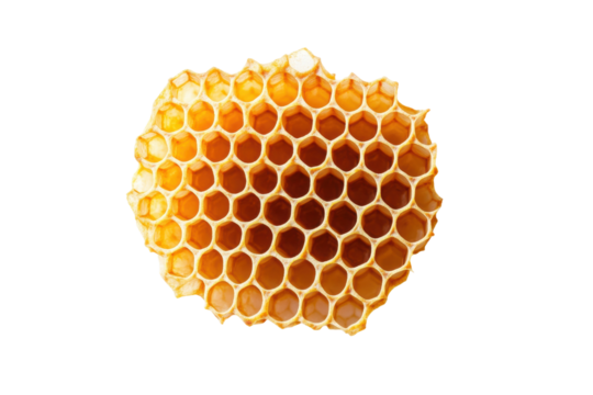 Close-up of honeycomb structure with hexagonal patterns isolated on black background, cut out