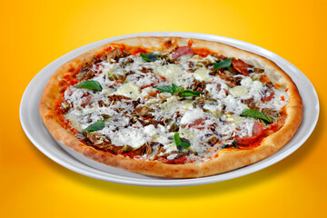 Pizza mozzarella and tomato roasted in the wood oven