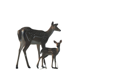Fototapeta premium Adult and Young Spotted Deer Standing Together in a Natural Pose