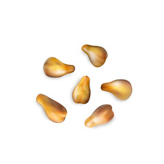 Grape seeds on white background top view, grapeseeds pile for skincare cosmetic