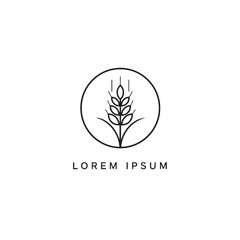 Wheat grain logo design