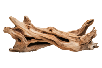Intricate weathered driftwood with natural holes and unique patterns, cut out