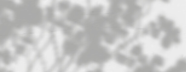 Glare from the sun's rays on the wall. Blurred shadows from leaves and plants in the room. Soft overlay of natural light. Abstract background for product presentation.Natural light layout.
